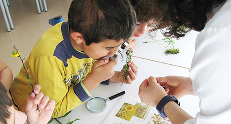 Atividades de Férias