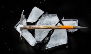 Dr. Waldhart Visual Identity